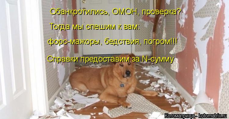 Котоматрица: Обанкротились, ОМОН, проверка?  Тогда мы спешим к вам:  форс-мажоры, бедствия, погром!!! Справки предоставим за N-сумму