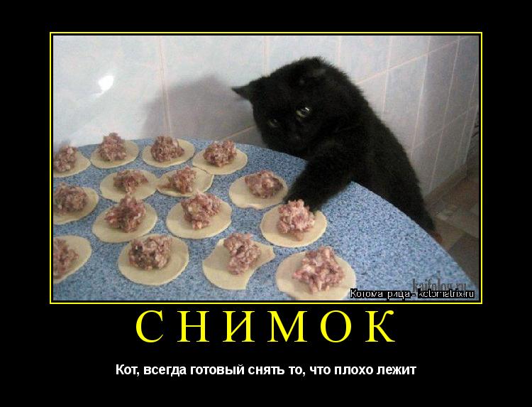 СНИМОК Кот, всегда готовый снять то, что плохо лежит... Котоматрица: СНИМОК Кот, всегда готовый снять то, что плохо лежит