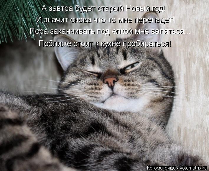 И значит снова что-то мне перепадет! А завтра будет старый Новый год! Пора заканчивать под елкой мне ... Котоматрица: И значит снова что-то мне перепадет! А завтра будет старый Новый год! Пора заканчивать под елкой мне валяться... Поближе стоит к кухне пробир?