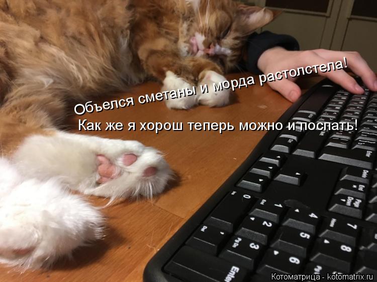 Как же я хорош теперь можно и поспать! Объелся сметаны и морда растолстела!... Котоматрица: Как же я хорош теперь можно и поспать! Объелся сметаны и морда растолстела!