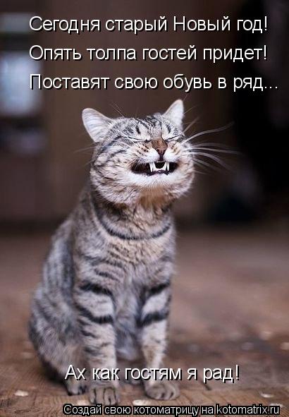 Сегодня старый Новый год! Опять толпа гостей придет! Ах как гостям я рад! Поставят свою обувь в ряд..... Котоматрица: Сегодня старый Новый год! Опять толпа гостей придет! Ах как гостям я рад! Поставят свою обувь в ряд...