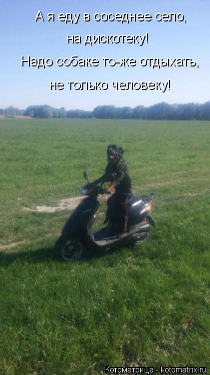 А я еду в соседнее село, на дискотеку! Надо собаке то-же отдыхать, не только человеку!... Котоматрица: А я еду в соседнее село, на дискотеку! Надо собаке то-же отдыхать, не только человеку!