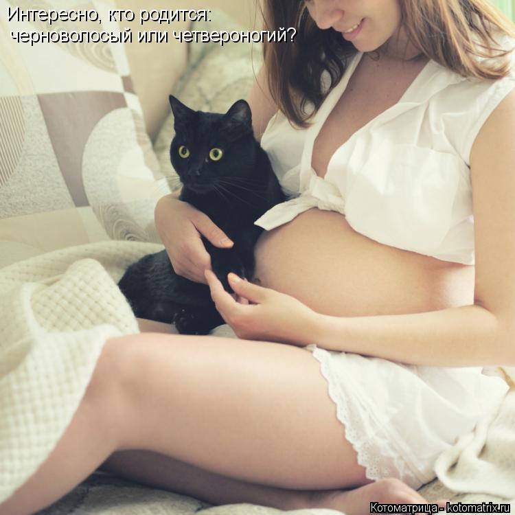 Интересно, кто родится: черноволосый или четвероногий?... Котоматрица: Интересно, кто родится: черноволосый или четвероногий?