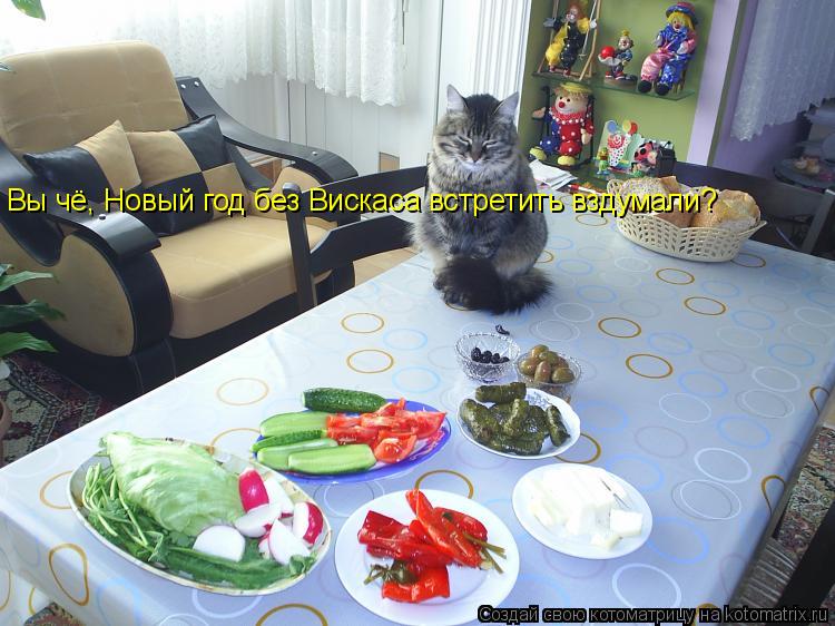 Вы чё, Новый год без Вискаса встретить вздумали?... Котоматрица: Вы чё, Новый год без Вискаса встретить вздумали?