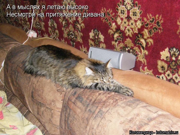 А в мыслях я летаю высоко А в мыслях я летаю высоко Несмотря на притяжение дивана Несмотря на притяже... Котоматрица: А в мыслях я летаю высоко А в мыслях я летаю высоко Несмотря на притяжение дивана Несмотря на притяжение дивана