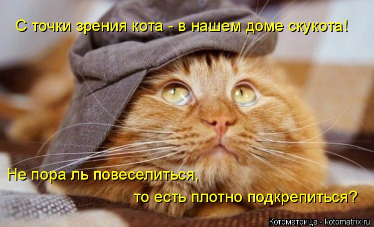С точки зрения кота - в нашем доме скукота! Не пора ль повеселиться, то есть плотно подкрепиться?... Котоматрица: С точки зрения кота - в нашем доме скукота! Не пора ль повеселиться, то есть плотно подкрепиться?