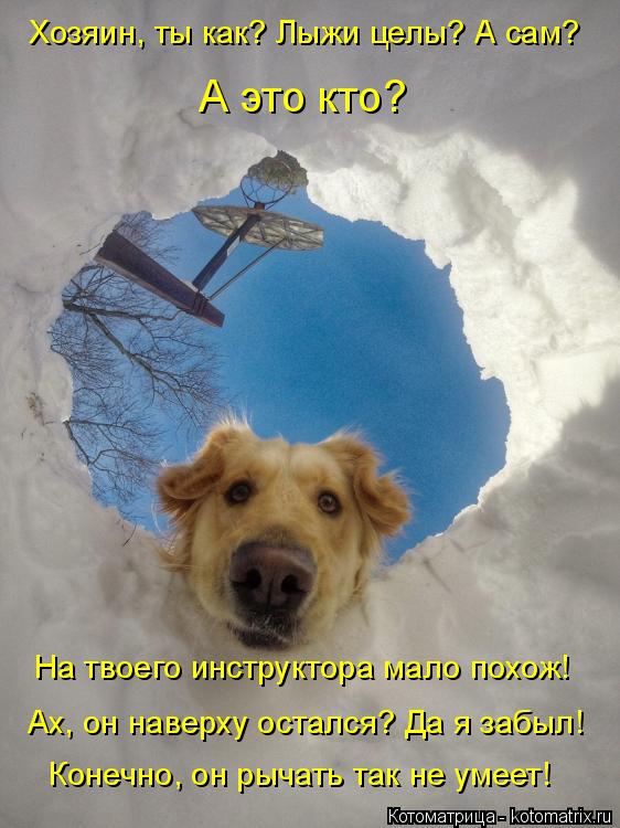 Хозяин, ты как? Лыжи целы? А сам? А это кто? На твоего инструктора мало похож! Конечно, он рычать ... Котоматрица: Хозяин, ты как? Лыжи целы? А сам? А это кто? На твоего инструктора мало похож! Конечно, он рычать так не умеет! Ах, он наверху остался? Да я заб?