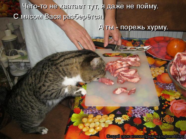 Чего-то не хватает тут, я даже не пойму. С мясом Вася разберётся. А ты - порежь хурму.... Котоматрица: Чего-то не хватает тут, я даже не пойму. С мясом Вася разберётся. А ты - порежь хурму.