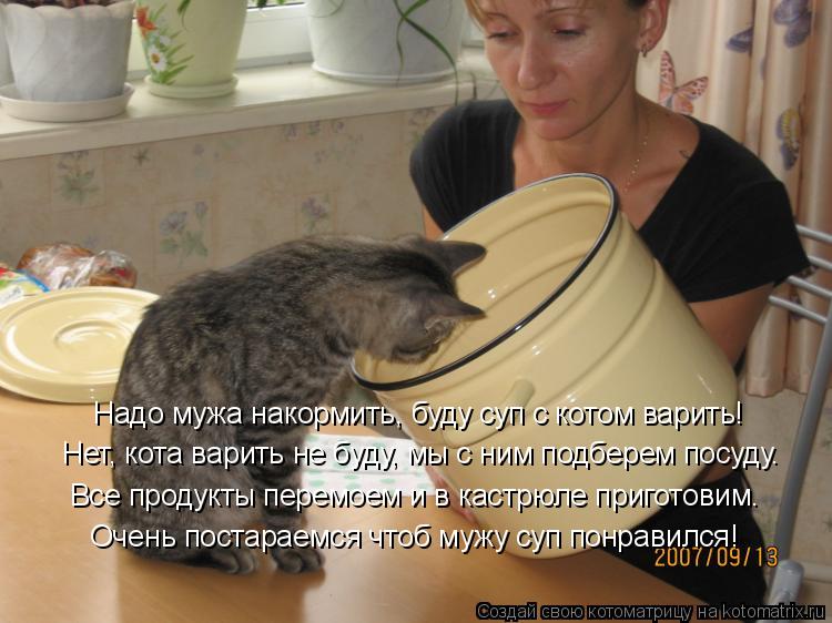 Надо мужа накормить, буду суп с котом варить! Нет, кота варить не буду, мы с ним подберем посуду. Все... Котоматрица: Надо мужа накормить, буду суп с котом варить! Нет, кота варить не буду, мы с ним подберем посуду. Все продукты перемоем и в кастрюле приготови