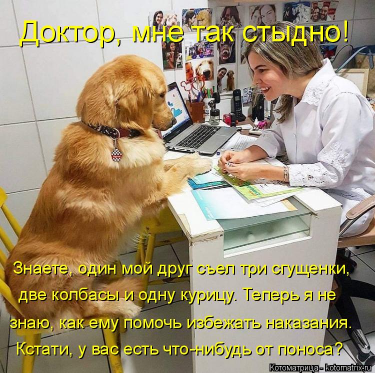 Знаете, один мой друг съел три сгущенки, две колбасы и одну курицу. Теперь я не знаю, как ему помоч... Котоматрица: Знаете, один мой друг съел три сгущенки, две колбасы и одну курицу. Теперь я не знаю, как ему помочь избежать наказания. Кстати, у вас есть чт