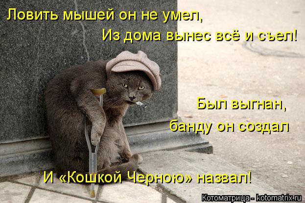 Ловить мышей он не умел, Из дома вынес всё и съел! Был выгнан, банду он создал И «Кошкой Черною» назв... Котоматрица: Ловить мышей он не умел, Из дома вынес всё и съел! Был выгнан, банду он создал И «Кошкой Черною» назвал!