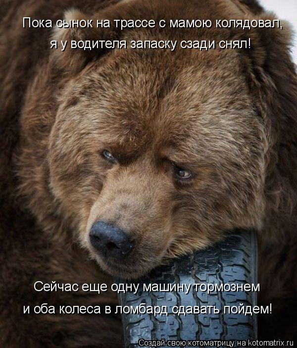Пока сынок на трассе с мамою колядовал, я у водителя запаску сзади снял! Сейчас еще одну машину тормо... Котоматрица: Пока сынок на трассе с мамою колядовал, я у водителя запаску сзади снял! Сейчас еще одну машину тормознем и оба колеса в ломбард сдавать пой?