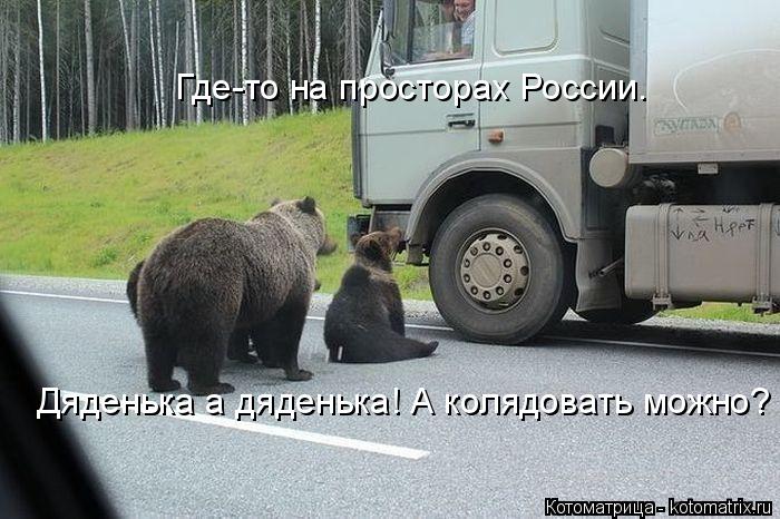 Где-то на просторах России. Дяденька а дяденька! А колядовать можно?... Котоматрица: Где-то на просторах России. Дяденька а дяденька! А колядовать можно?