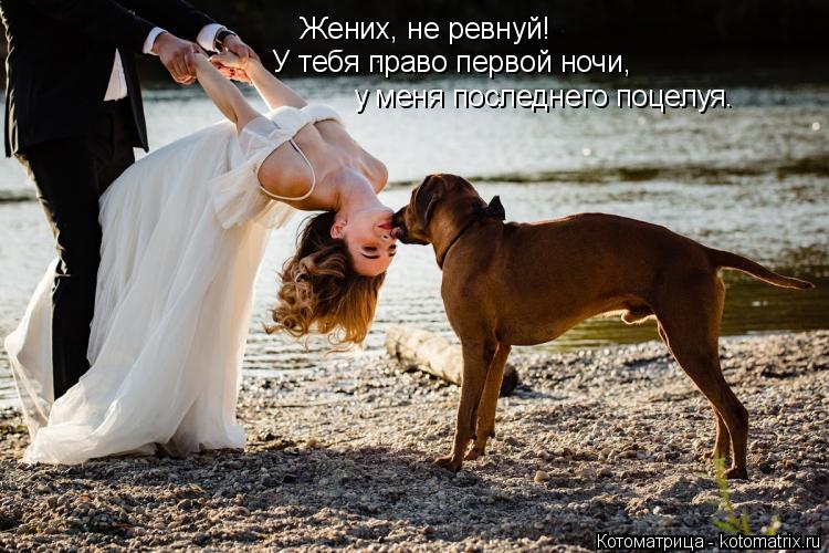 Жених, не ревнуй! У тебя право первой ночи, у меня последнего поцелуя.... Котоматрица: Жених, не ревнуй! У тебя право первой ночи, у меня последнего поцелуя.