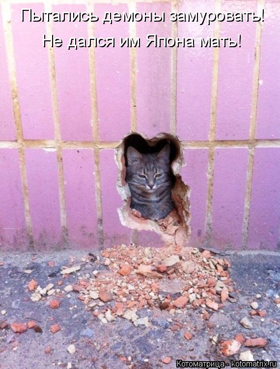 Пытались демоны замуровать! Не дался им Япона мать!... Котоматрица: Пытались демоны замуровать! Не дался им Япона мать!