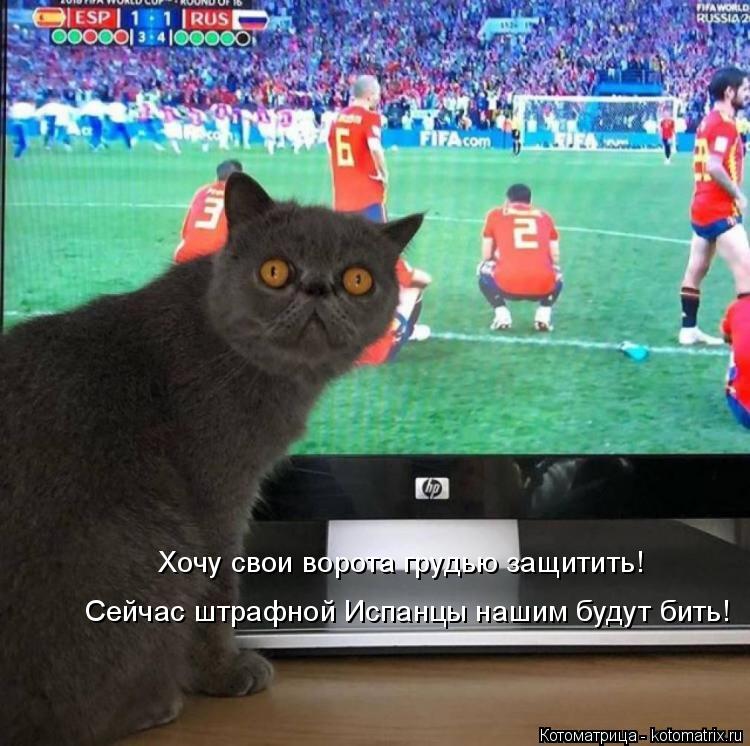 Хочу свои ворота грудью защитить! Сейчас штрафной Испанцы нашим будут бить!... Котоматрица: Хочу свои ворота грудью защитить! Сейчас штрафной Испанцы нашим будут бить!
