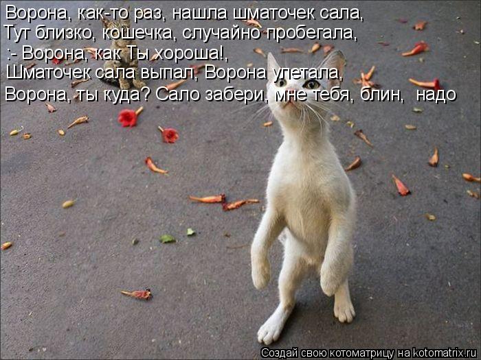 Ворона, как-то раз, нашла шматочек сала, Тут близко, кошечка, случайно пробегала, :- Ворона, как Ты х... Котоматрица: Ворона, как-то раз, нашла шматочек сала, Тут близко, кошечка, случайно пробегала, :- Ворона, как Ты хороша!, Шматочек сала выпал, Ворона улетала
