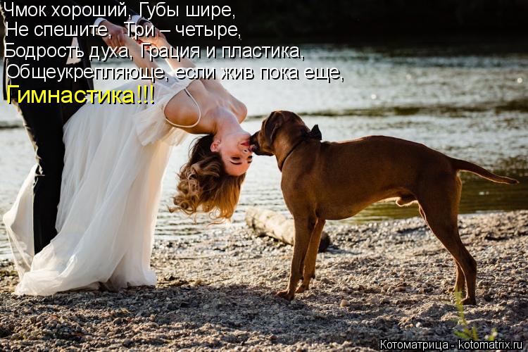 Чмок хороший, Губы шире, Не спешите, Три – четыре, Бодрость духа, Грация и пластика, Общеукрепляюще,... Котоматрица: Чмок хороший, Губы шире, Не спешите, Три – четыре, Бодрость духа, Грация и пластика, Общеукрепляюще, если жив пока еще, Гимнастика!!!