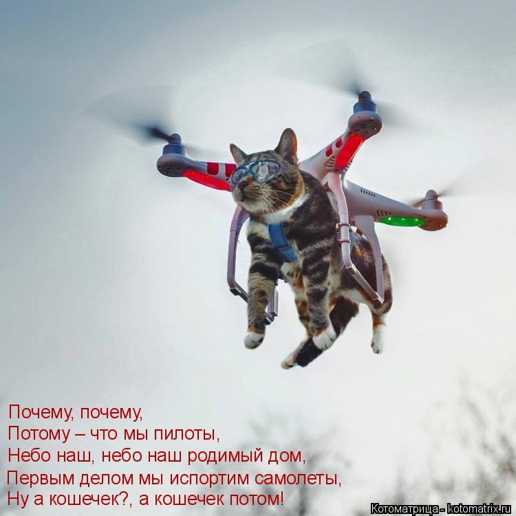Ну а кошечек?, а кошечек потом! Первым делом мы испортим самолеты, Небо наш, небо наш родимый дом, По... Котоматрица: Ну а кошечек?, а кошечек потом! Первым делом мы испортим самолеты, Небо наш, небо наш родимый дом, Потому – что мы пилоты, Почему, почему,