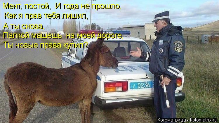 Мент, постой, И года не прошло, Как я прав тебя лишил, А ты снова, Палкой машешь на моей дороге, Т... Котоматрица: Мент, постой, И года не прошло, Как я прав тебя лишил, А ты снова, Палкой машешь на моей дороге, Ты новые права купил?