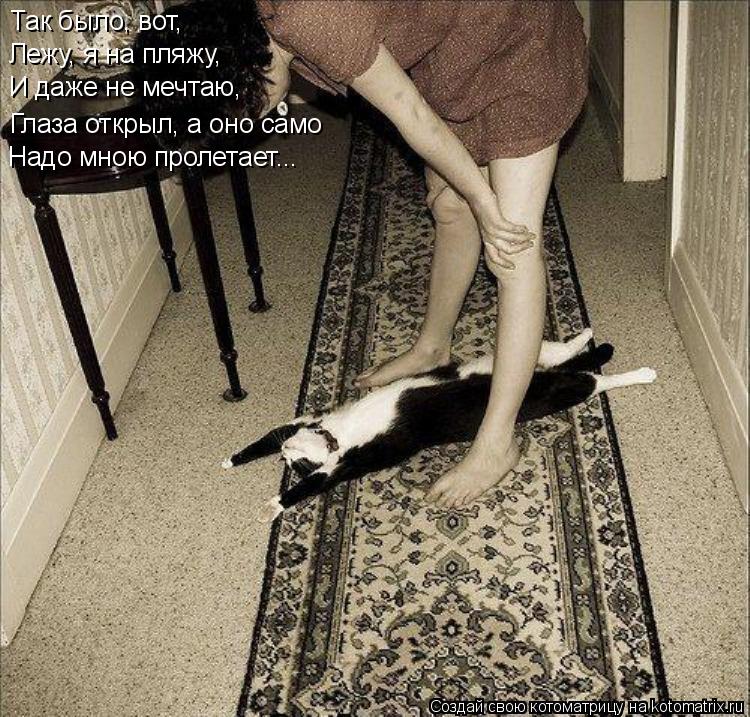 Так было, вот, Лежу, я на пляжу, И даже не мечтаю, Глаза открыл, а оно само Надо мною пролетает...... Котоматрица: Так было, вот, Лежу, я на пляжу, И даже не мечтаю, Глаза открыл, а оно само Надо мною пролетает...