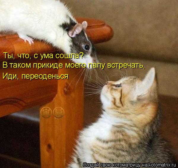 Ты, что, с ума сошла? В таком прикиде моего папу встречать, Иди, переоденься... Котоматрица: Ты, что, с ума сошла? В таком прикиде моего папу встречать, Иди, переоденься