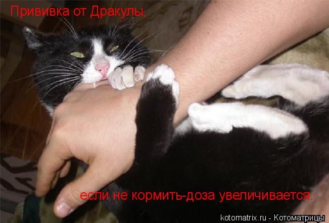 Прививка от Дракулы, если не кормить-доза увеличивается.... Котоматрица: Прививка от Дракулы, если не кормить-доза увеличивается.