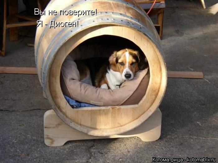 Вы не поверите! Я - Диоген!... Котоматрица: Вы не поверите! Я - Диоген!