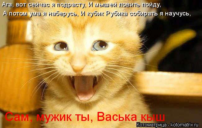 Ага, вот сейчас я подрасту, И мышей ловить пойду, А потом ума я наберусь, И кубик Рубика собирать я н... Котоматрица: Ага, вот сейчас я подрасту, И мышей ловить пойду, А потом ума я наберусь, И кубик Рубика собирать я научусь, Сам, мужик ты, Васька кыш