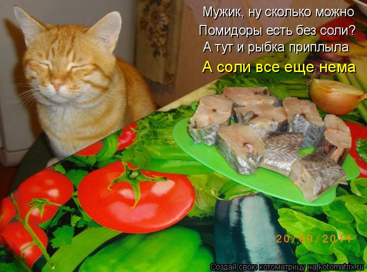 Мужик, ну сколько можно Помидоры есть без соли? А тут и рыбка приплыла А соли все еще нема... Котоматрица: Мужик, ну сколько можно Помидоры есть без соли? А тут и рыбка приплыла А соли все еще нема