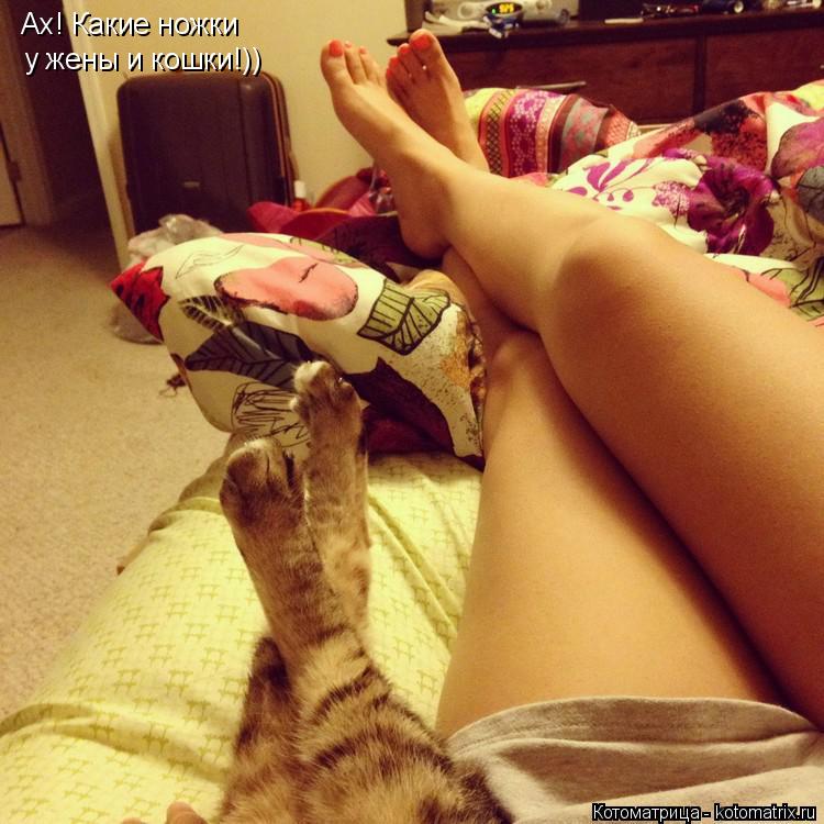 Котоматрица: Ах! Какие ножки у жены и кошки!))