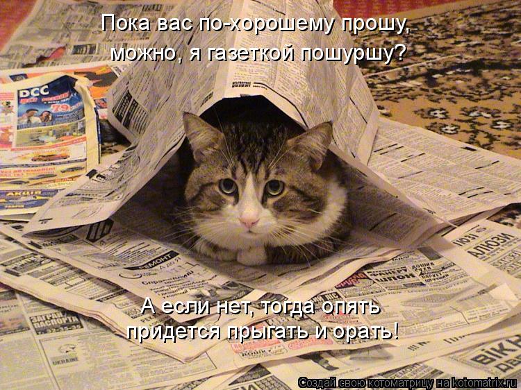 Пока вас по-хорошему прошу, можно, я газеткой пошуршу? А если нет, тогда опять придется прыгать и ора... Котоматрица: Пока вас по-хорошему прошу, можно, я газеткой пошуршу? А если нет, тогда опять придется прыгать и орать!