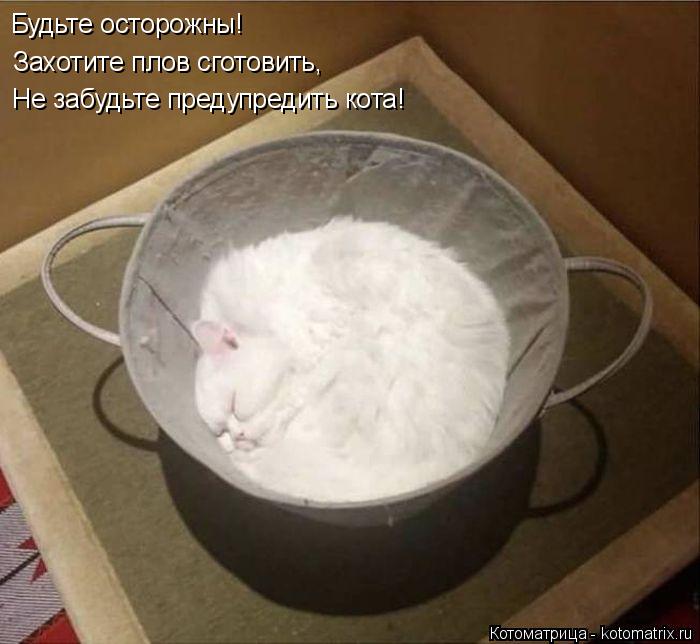 Будьте осторожны! Захотите плов сготовить, Не забудьте предупредить кота!... Котоматрица: Будьте осторожны! Захотите плов сготовить, Не забудьте предупредить кота!