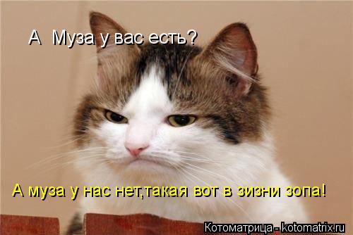 А муза у нас нет,такая вот в зизни зопа! А Муза у вас есть?... Котоматрица: А муза у нас нет,такая вот в зизни зопа! А Муза у вас есть?