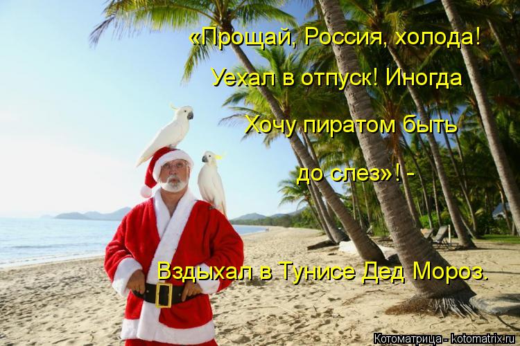 Котоматрица: «Прощай, Россия, холода! Уехал в отпуск! Иногда Хочу пиратом быть до слез»! - Вздыхал в Тунисе Дед Мороз.