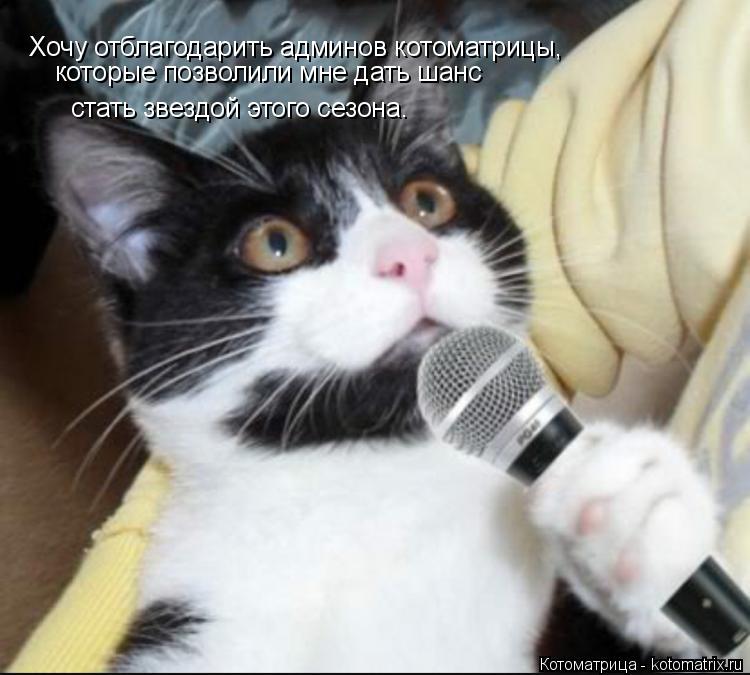 Хочу отблагодарить админов котоматрицы, которые позволили мне дать шанс стать звездой этого сезона.... Котоматрица: Хочу отблагодарить админов котоматрицы, которые позволили мне дать шанс стать звездой этого сезона.