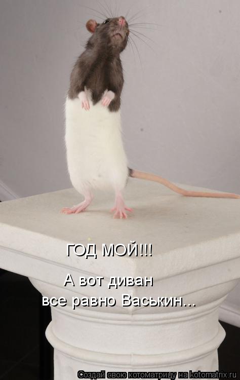 ГОД МОЙ!!! А вот диван все равно Васькин...... Котоматрица: ГОД МОЙ!!! А вот диван все равно Васькин...