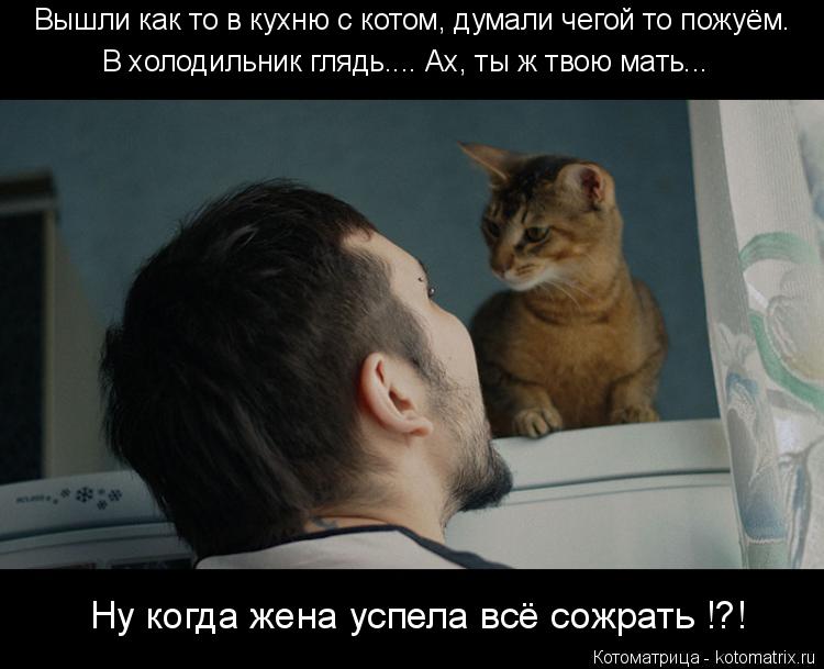 В холодильник глядь.... Ах, ты ж твою мать... Ну когда жена успела всё сожрать !?! Вышли как то в кух... Котоматрица: В холодильник глядь.... Ах, ты ж твою мать... Ну когда жена успела всё сожрать !?! Вышли как то в кухню с котом, думали чегой то пожуём.