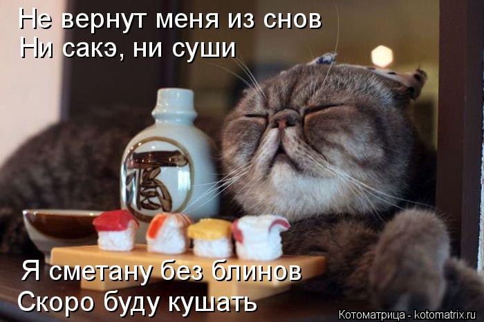 Я сметану без блинов Скоро буду кушать Ни сакэ, ни суши Не вернут меня из снов... Котоматрица: Я сметану без блинов Скоро буду кушать Ни сакэ, ни суши Не вернут меня из снов