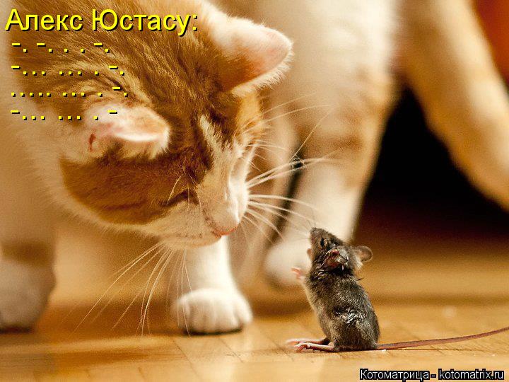 Алекс Юстасу: -. -. . . -. -… … . -. ….. … . -. -… … . -... Котоматрица: Алекс Юстасу: -. -. . . -. -… … . -. ….. … . -. -… … . -