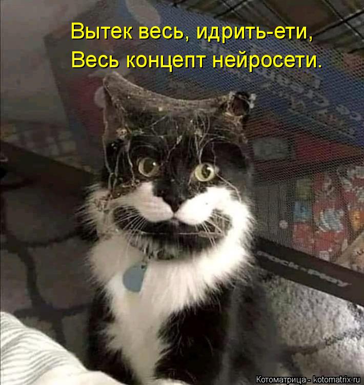 Вытек весь, идрить-ети, Весь концепт нейросети.... Котоматрица: Вытек весь, идрить-ети, Весь концепт нейросети.