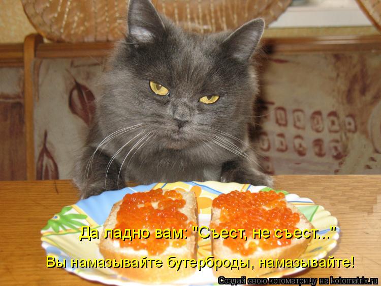 Да ладно вам: "Съест, не съест..." Вы намазывайте бутерброды, намазывайте!... Котоматрица: Да ладно вам: "Съест, не съест..." Вы намазывайте бутерброды, намазывайте!