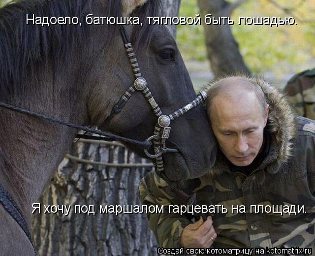 Я хочу под маршалом гарцевать на площади. Надоело, батюшка, тягловой быть лошадью.... Котоматрица: Я хочу под маршалом гарцевать на площади. Надоело, батюшка, тягловой быть лошадью.