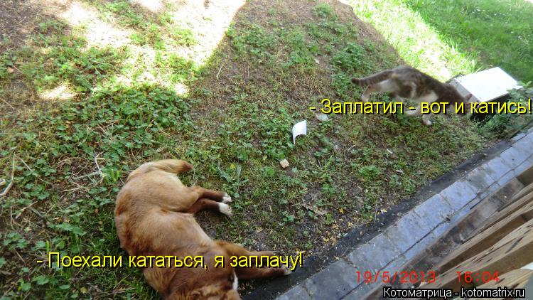 - Поехали кататься, я заплачу! - Заплатил - вот и катись!... Котоматрица: - Поехали кататься, я заплачу! - Заплатил - вот и катись!