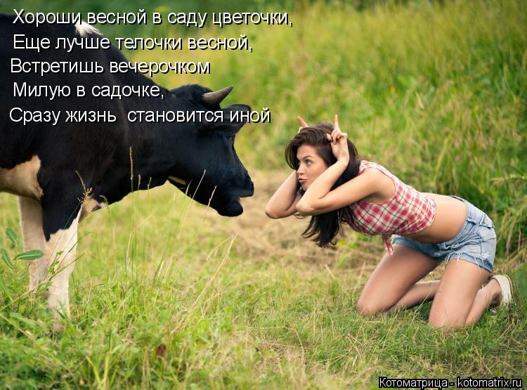 Котоматрица: Хороши весной в саду цветочки, Еще лучше телочки весной, Встретишь вечерочком Милую в садочке, Сразу жизнь  становится иной