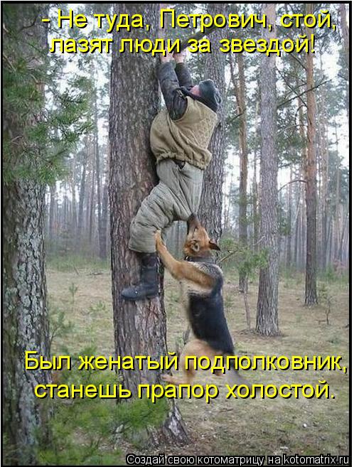 - Не туда, Петрович, стой, лазят люди за звездой! Был женатый подполковник, станешь прапор холостой.... Котоматрица: - Не туда, Петрович, стой, лазят люди за звездой! Был женатый подполковник, станешь прапор холостой.