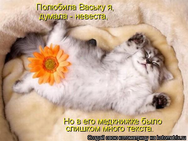 Полюбила Ваську я, думала - невеста, слишком много текста. Но в его медкнижке было... Котоматрица: Полюбила Ваську я, думала - невеста, слишком много текста. Но в его медкнижке было