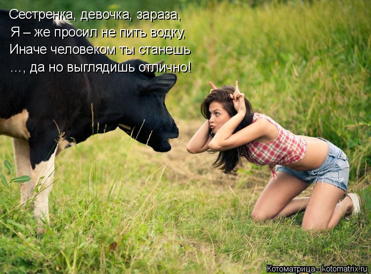 Сестренка, девочка, зараза, Я – же просил не пить водку, Иначе человеком ты станешь …, да но выглядиш... Котоматрица: Сестренка, девочка, зараза, Я – же просил не пить водку, Иначе человеком ты станешь …, да но выглядишь отлично!