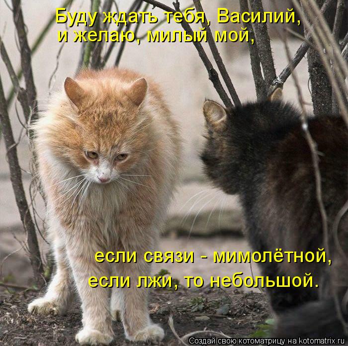 и желаю, милый мой, Буду ждать тебя, Василий, если лжи, то небольшой. если связи - мимолётной,... Котоматрица: и желаю, милый мой, Буду ждать тебя, Василий, если лжи, то небольшой. если связи - мимолётной,