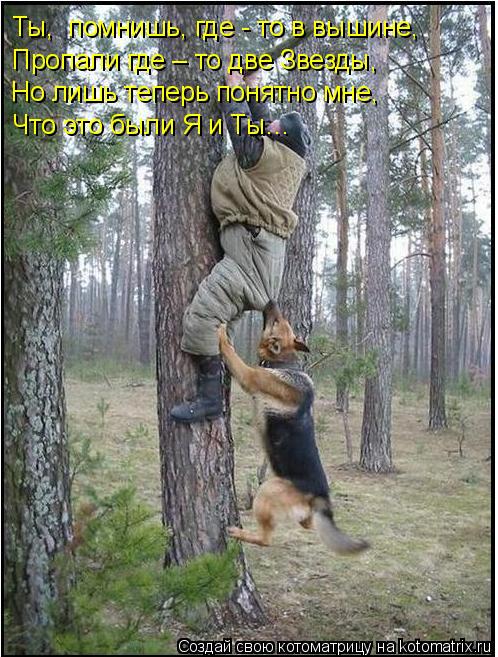 Ты, помнишь, где - то в вышине, Пропали где – то две Звезды, Но лишь теперь понятно мне, Что это б... Котоматрица: Ты, помнишь, где - то в вышине, Пропали где – то две Звезды, Но лишь теперь понятно мне, Что это были Я и Ты…